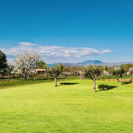 Ruza: Pet-friendly Istrian Retreat With Pool And Playground *