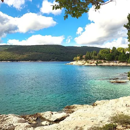 Villa Ruza, Pet Friendly With Private Pool And Playground In Istria, Saturdays Check In And Out Labin (Istria)